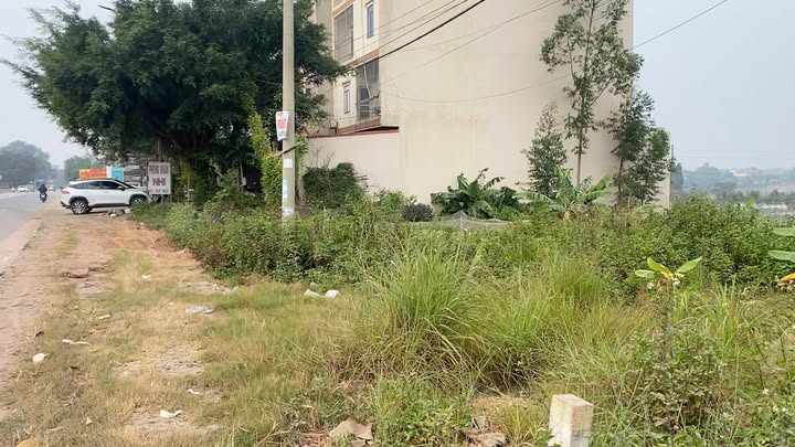 Đất nền Lục Nam Bắc Giang 81m² giá thỏa thuận - Kết nối giao thông thuận lợi!