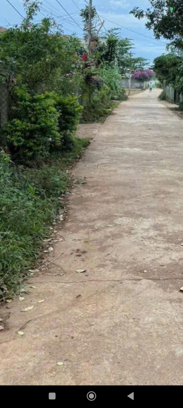 Đất nền Tân Hội, Đức Trọng 3600m² giá 1.2 tỷ - Cơ hội đầu tư tuyệt vời!