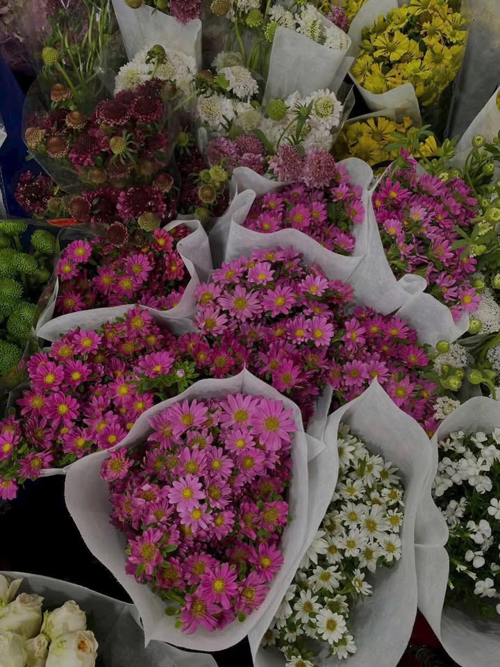 Nhà mặt tiền kinh doanh Phan Văn Trị, quận Bình Thạnh, 72m² giá 8.7 tỷ - Đối diện Cityland cao cấp!