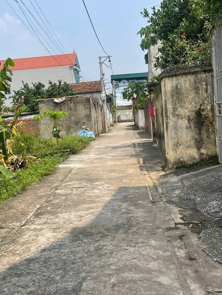 Đất Phong Triều, Phú Xuyên 45m² giá 1 tỷ - Tiềm năng sinh lời cao!