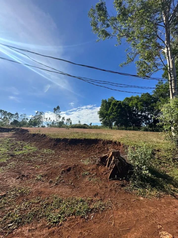 Đất nền Thống Nhất Pleiku 1335m² giá 2 tỷ - Đầu tư sinh lời ngay!