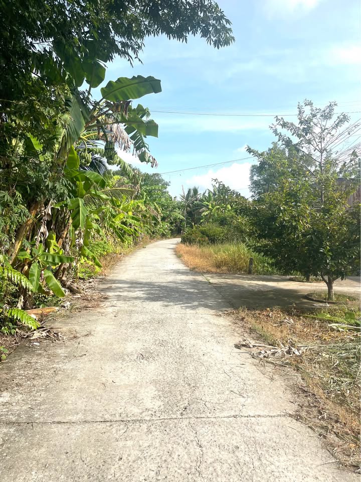 Đất nền mặt tiền kênh Lung Dừa tại Lý Văn Lâm 188m² - Đầu tư hiệu quả!