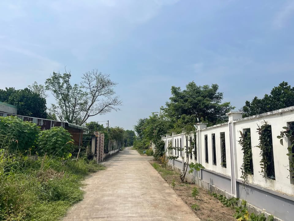 Đất vườn thổ cư Nhơn Trạch 388m² giá 3 tỷ - Cơ hội đầu tư tuyệt vời!