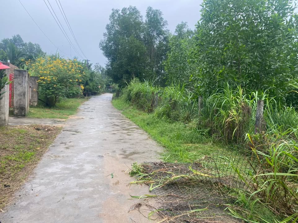 Đất Tịnh Trà 204m² giá 300 triệu - Cơ hội đầu tư tuyệt vời cho cặp vợ chồng trẻ!