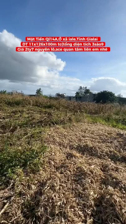 Đất mặt tiền QL14A, xã Ia Le, Gia Lai, 13860m² - Cơ hội đầu tư tuyệt vời!