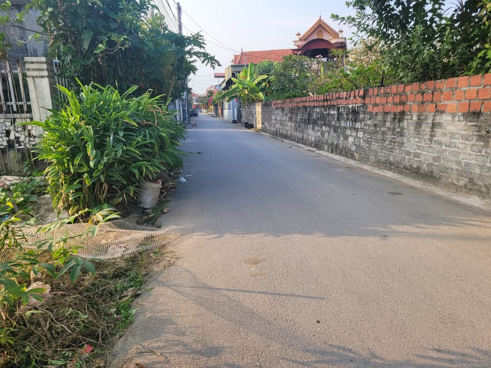 Đất nền Phong Hải 260m² giá 3.9 tỷ - Chính chủ bán gấp!