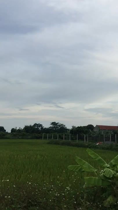 Đất nền Yên Khánh Ninh Bình 138m² - Giá đầu tư hấp dẫn