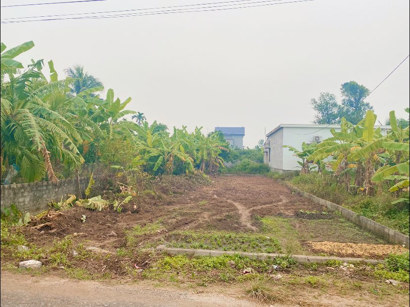 Đất nền Mỹ Ân, Văn Tố, Tứ Kỳ 153m² giá 1.6 tỷ - Sổ đỏ chính chủ, pháp lý rõ ràng!