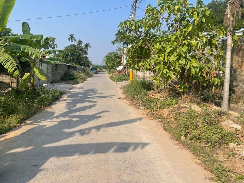 Đất thổ cư Kỳ Sơn, Thủy Nguyên 102m² giá 800 triệu - Đầu tư sinh lời ngay!