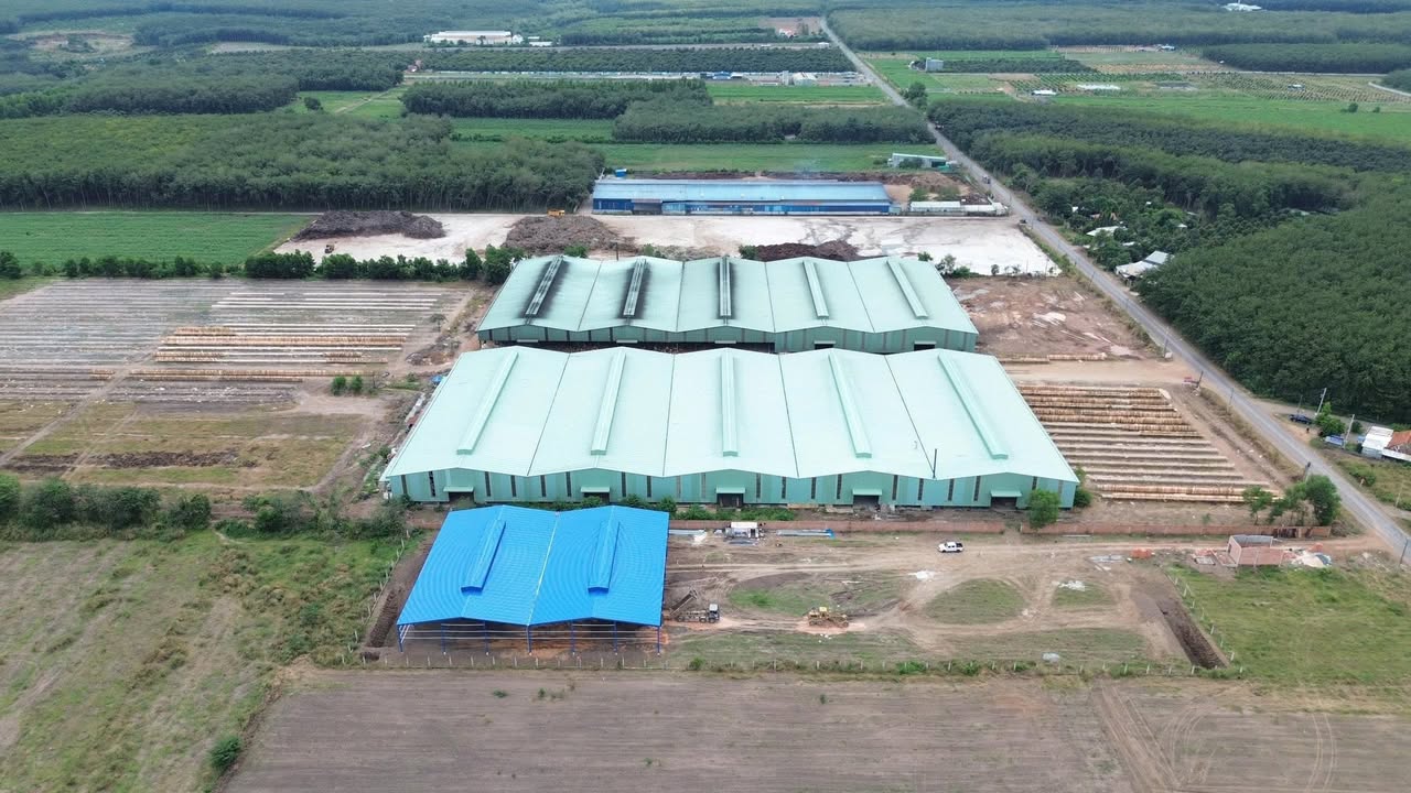 Đất nền Minh Lập, Chơn Thành 175m² giá 588 triệu - Sổ hồng chính chủ!