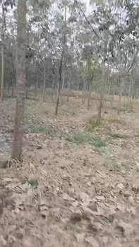 Đất nền 2ha3 tại Tân Lợi, Đồng Phú - Cơ hội đầu tư vàng chỉ 6 tỷ!