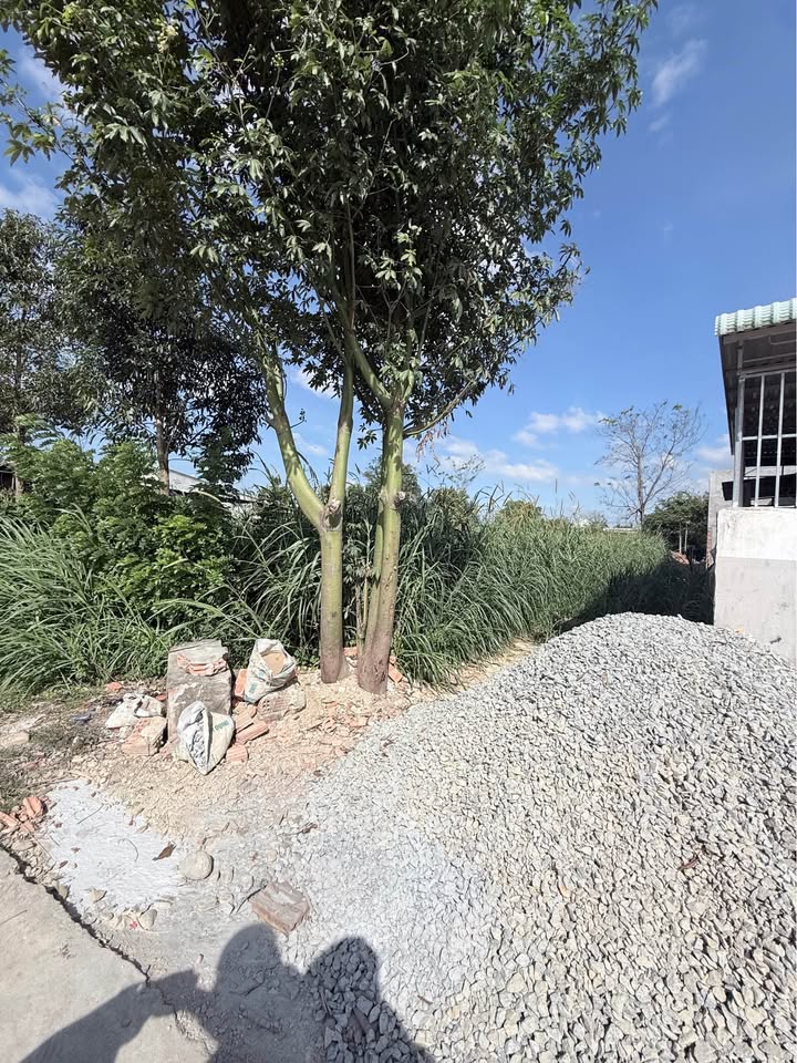 Đất thổ cư 260m² tại Kon Rờ Bàng 1, Vinh Quang - Giá tốt chỉ 500 triệu!