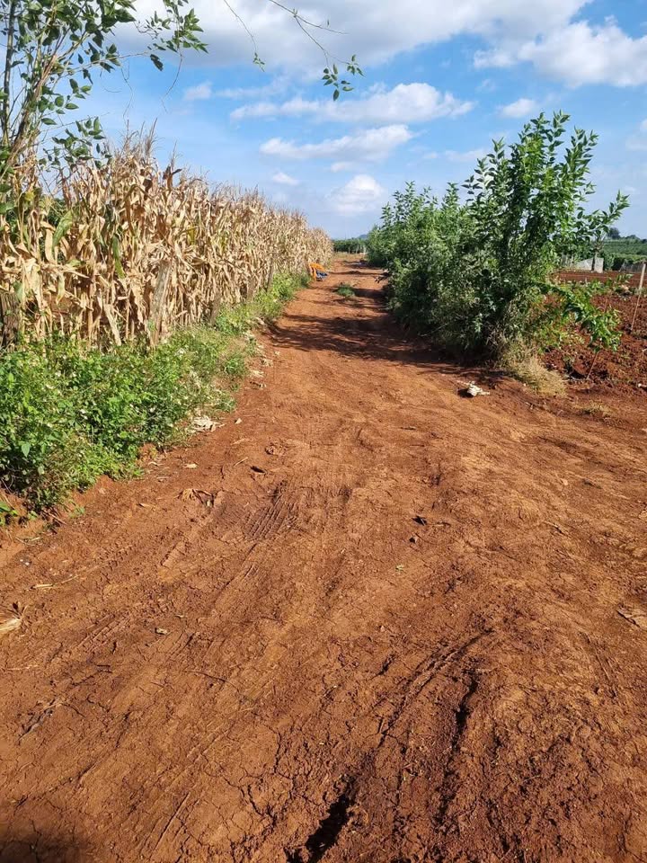 Đất nền Tân Hội, Đức Trọng, Lâm Đồng 25.000m² giá 16.2 tỷ - Đầu tư sinh lời ngay!