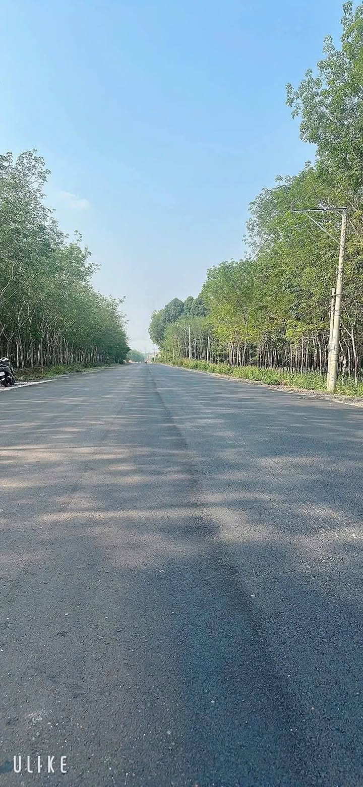 Đất nền 1100m² Phường Minh Hưng Chơn Thành 1.5 tỷ - Pháp lý rõ ràng, sẵn sàng tách lô!