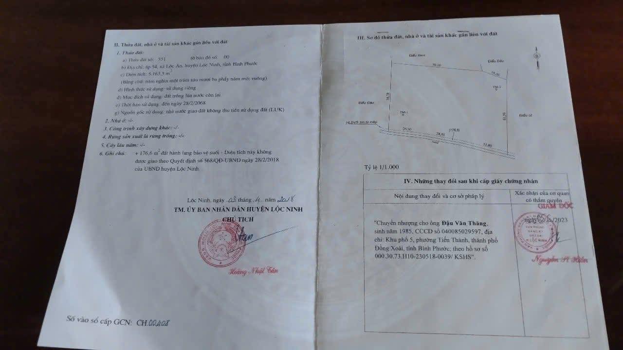 Đất Lộc An 5ha giá 600 triệu - Sổ hồng chính chủ, đầu tư sinh lời!