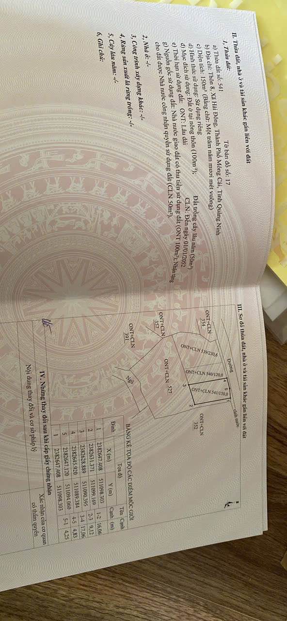 Đất thổ cư 150m² thôn 8 Hải Đông, Móng Cái - Giá chỉ 700 triệu!