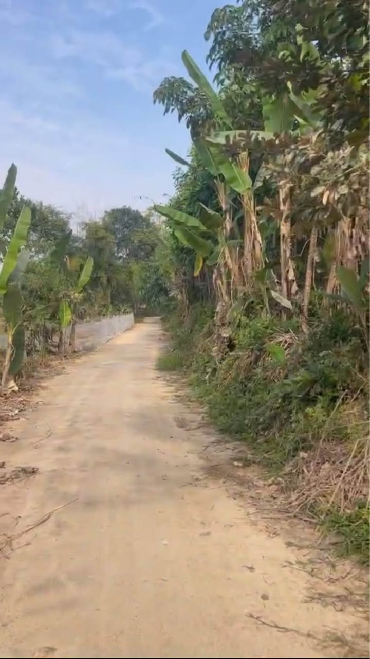 Đất nền Khu TĐC Huống Thượng 600m² giá chỉ 2.94 tỷ - Địa thế đẹp, phù hợp làm biệt thự