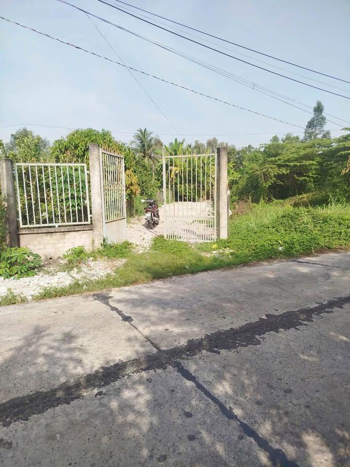 Đất thổ cư 2 mặt tiền đường Lương Văn Hội, xã Bình Tâm, TP Tân An 206m² giá 1.239 tỷ - Cơ hội đầu tư tuyệt vời!