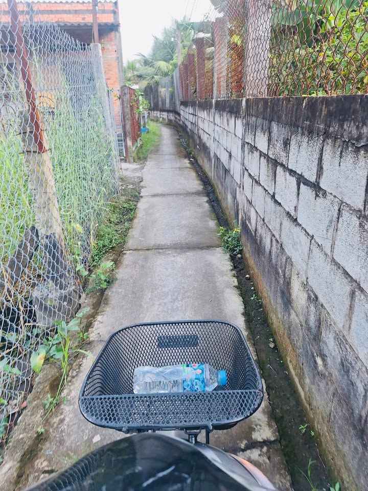 Đất vườn 804m² tại Tân Khánh, Tân An - Giá chỉ 750 triệu, chính chủ bán!