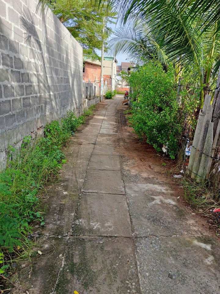 Đất thổ cư Tiến Hưng, Hàm Mỹ 100m² giá chỉ 150 triệu - Cơ hội đầu tư tuyệt vời!