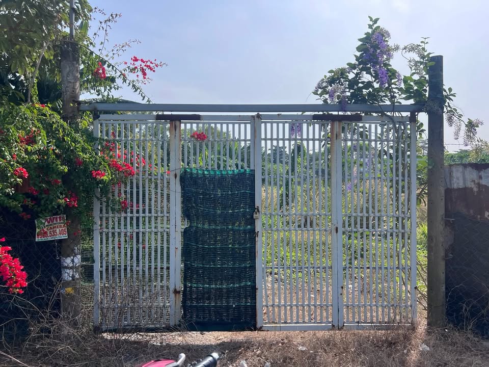 Đất mặt tiền Kênh Trung Ương, Hóc Môn 360m² giá 4 tỷ - Cơ hội đầu tư hấp dẫn!