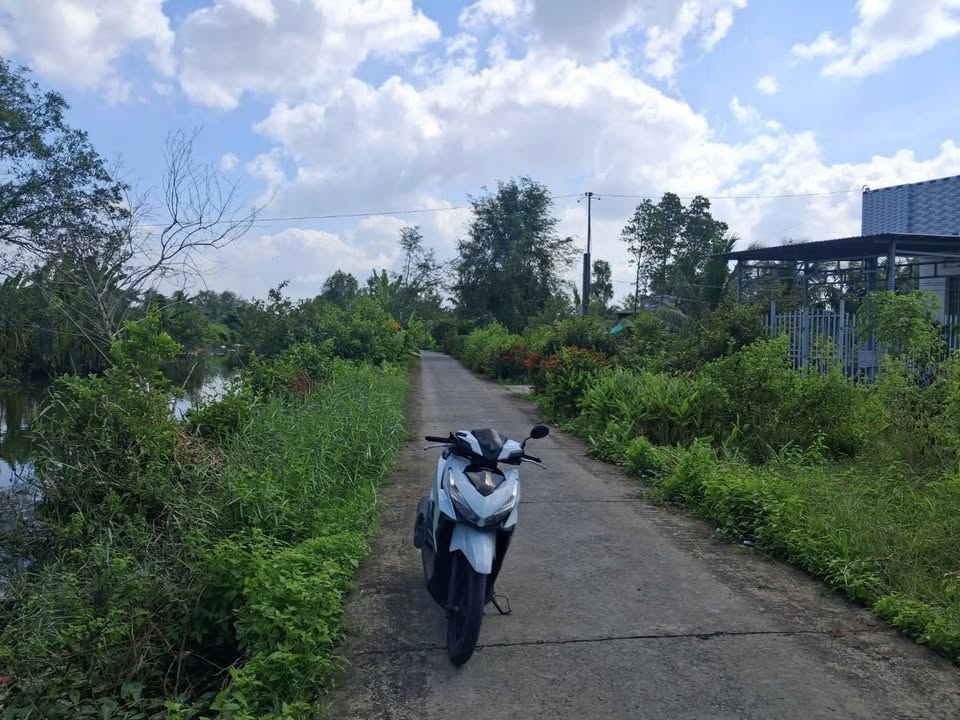 Đất thổ cư Ông Muộn, Lý Văn Lâm 450m² giá 520 triệu - Cơ hội đầu tư hấp dẫn!