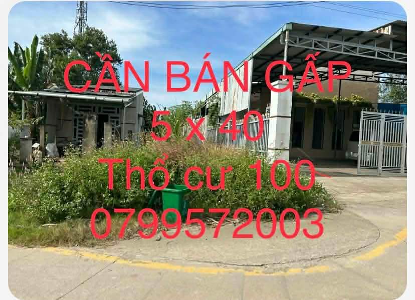 Đất thổ cư 200m² tại Đồng Xoài, Bình Phước - Sổ đỏ chính chủ, xây dựng tự do!