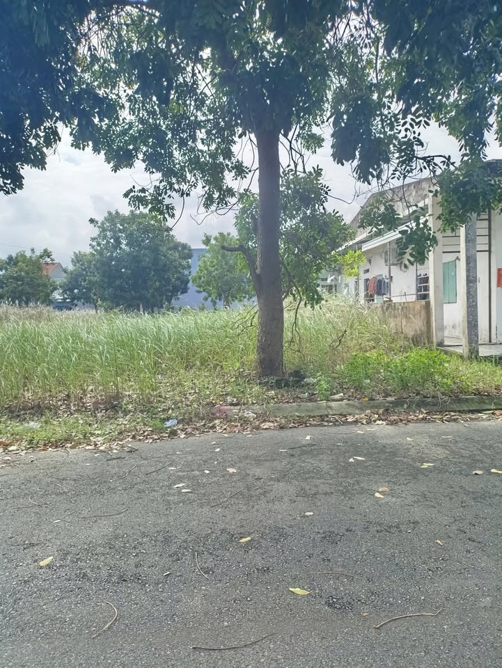 Đất nền phố chợ Điện Nam Trung 100m² giá 2.4 tỷ - Cơ hội đầu tư hấp dẫn!