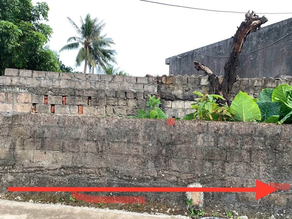 Đất nền Vĩnh Quang 2, Mạo Khê 158m² giá chỉ từ 800 triệu - Sẵn sàng giao dịch ngay!