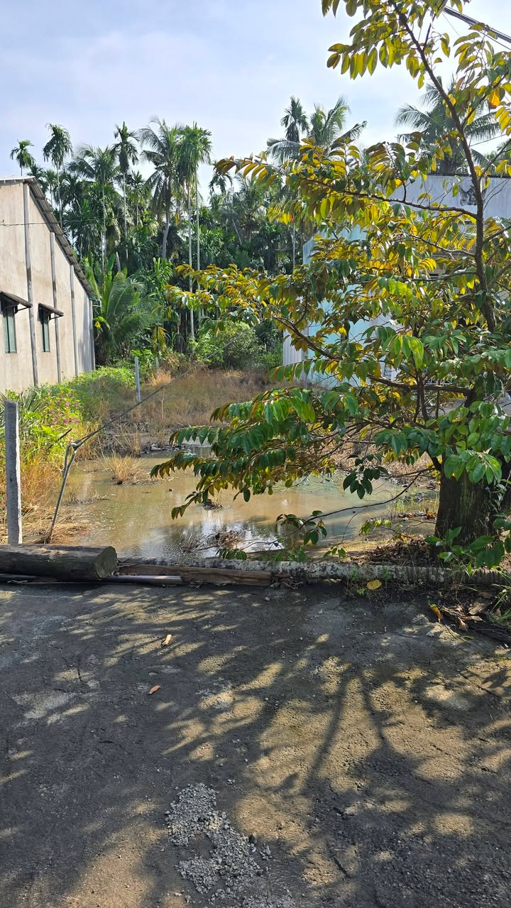 Đất nền 240m² tại ấp An Lạc, xã Bình An, giá 650 triệu - Đầu tư sinh lời ngay!