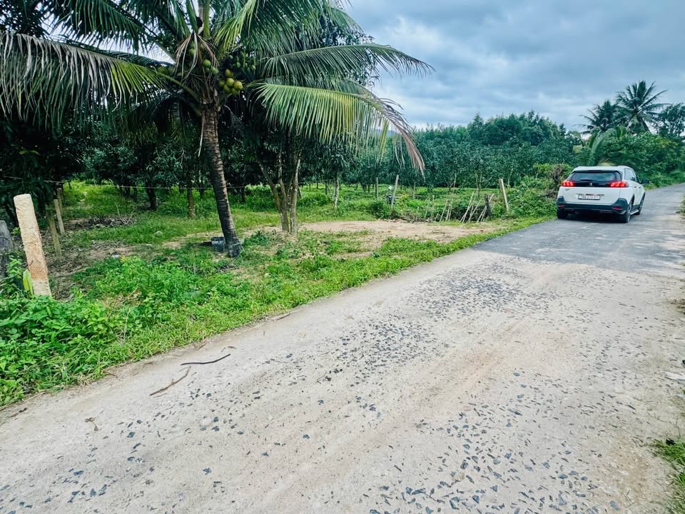 Đất nền Suối Cát, Cam Lâm 1950m² giá 3.315 triệu - Đầu tư hấp dẫn cho nhà vườn!