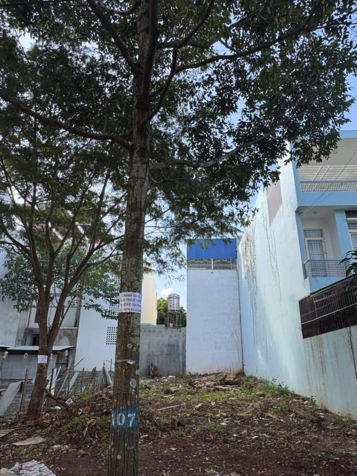 Đất mặt tiền Lý Chính Thắng, Tân An 240m² - Thích hợp kinh doanh!