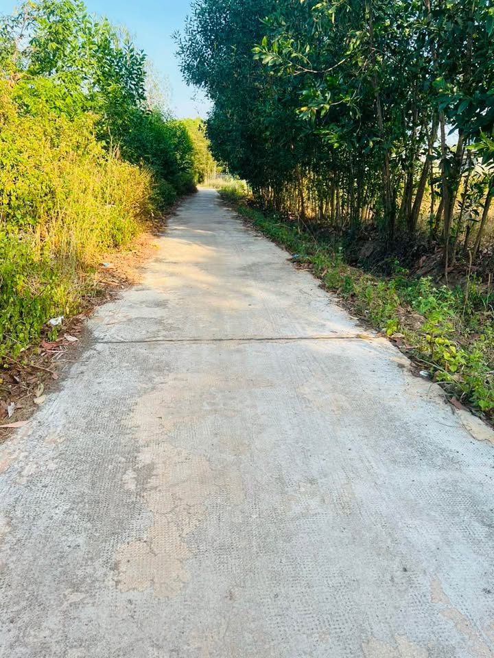 Đất nền liền kề mặt tiền đường Suối Đôi Đồng Tiến 900m² giá 400 triệu - Cơ hội đầu tư hấp dẫn!