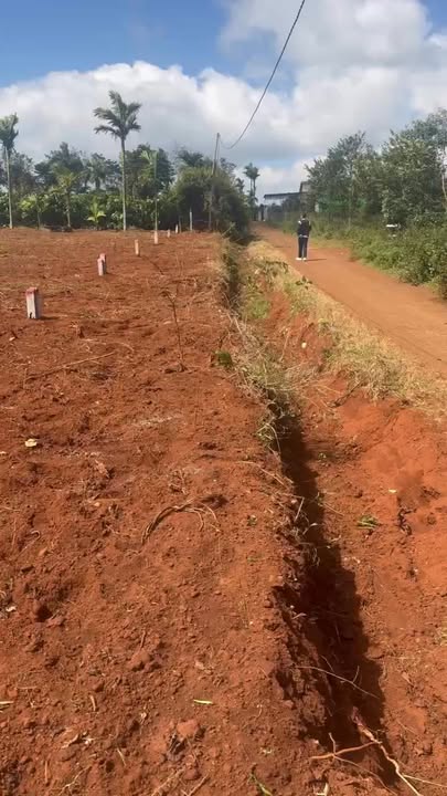 Đất thổ cư Cư Bao, Buôn Hồ 250m² giá chỉ 55 triệu - Cơ hội đầu tư hiếm có!