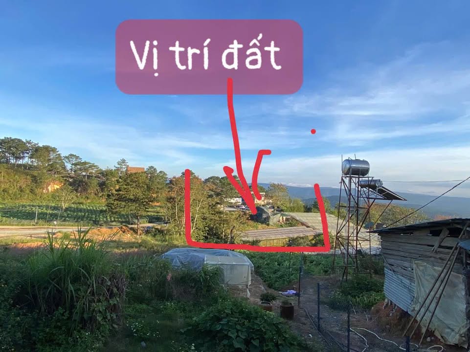Đất đầu tư 1500m² tại Đà Lạt - Mặt tiền đường nhựa, giá chỉ 3.3 tỷ!