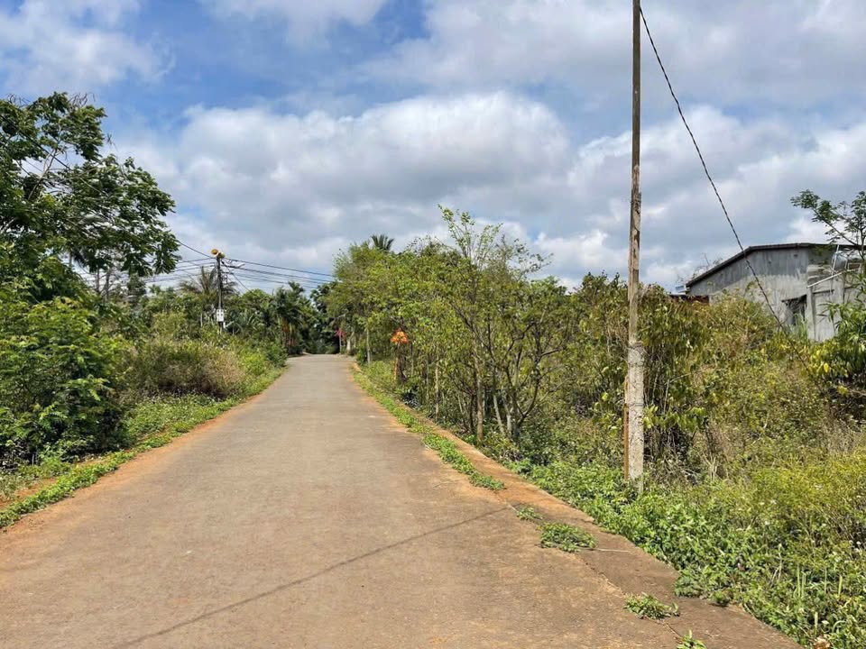 Đất nền Komleo Hòa Thắng 110m² giá 1.1 tỷ - Khu dân cư đông đúc!