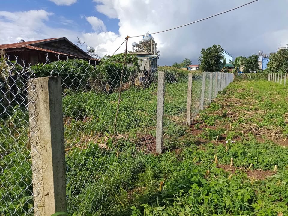 Lô đất 256m² xã Tu Tra, Đơn Dương chỉ 470 triệu - Giá tốt nhất khu vực!