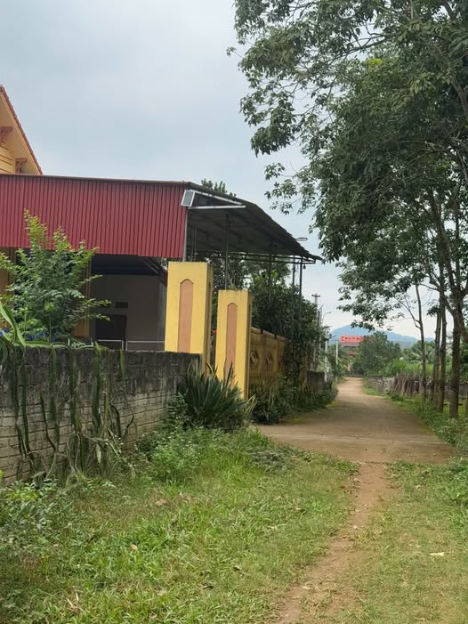 Đất thổ cư Thạch Sơn, Thạch Thành 700m² giá chỉ 300 triệu - Cơ hội vàng đầu tư!