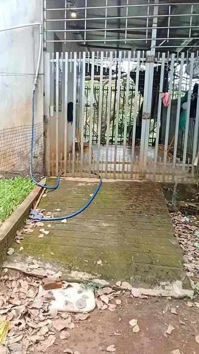 Đất nền Ia Lang Đức Cơ 35.000m² giá 4.6 tỷ - Cơ hội đầu tư hấp dẫn!