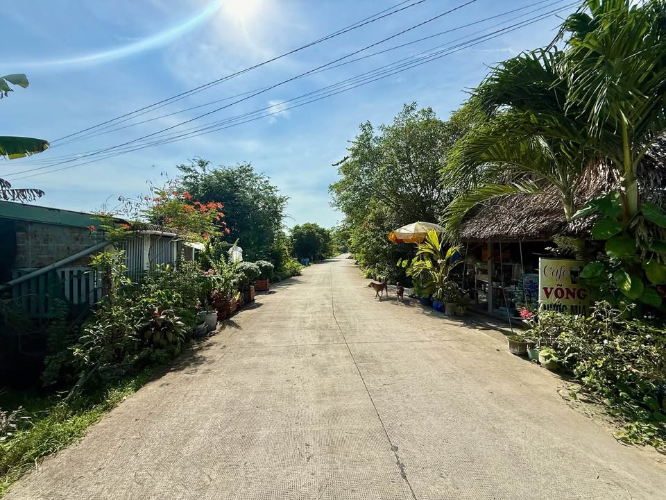 Nhà vườn Củ Chi 359m² giá 4.4 tỷ - Nơi trú ẩn yên bình cuối tuần!