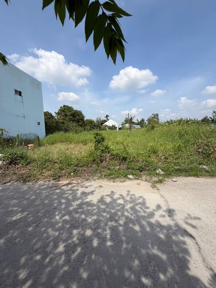 Đất thổ cư 800m² tại Bình Mỹ, Củ Chi giá 13.5 tỷ - Đầu tư sinh lời cao!