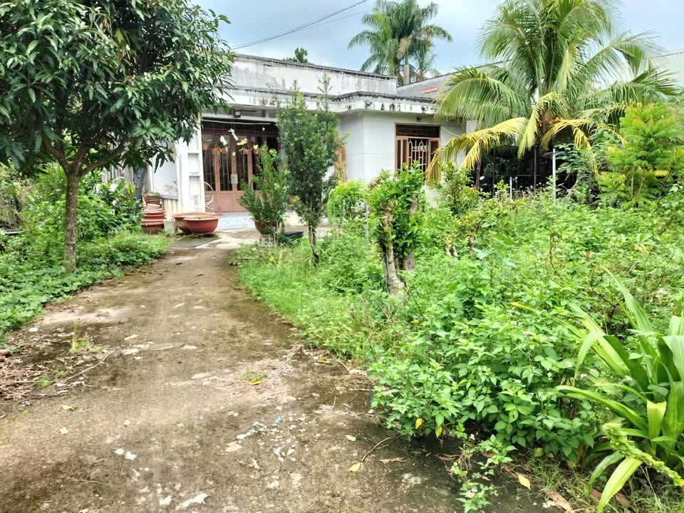 Đất thổ cư chính chủ tại Củ Chi 1010m² giá 8.282 tỷ - Cơ hội đầu tư tốt!