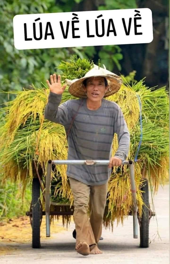 Đất mặt tiền đường Nguyễn Thị Rành, xã Nhuận Đức 2000m² - Cho thuê hợp tác sản xuất lúa