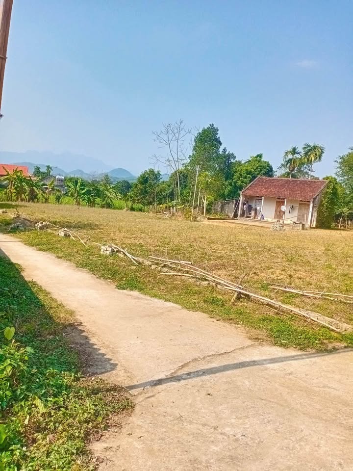 Đất nền Điền Trung, Bá Thước 120m² giá chỉ 100 triệu - Cơ hội đầu tư không thể bỏ qua!