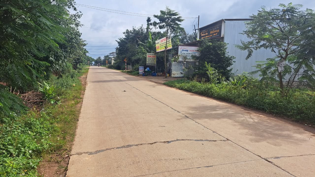 Đất mặt tiền Tỉnh Lộ 10, Dray Bhăng, Cư Kuin 590m² giá 1.35 tỷ - Cơ hội đầu tư tuyệt vời!