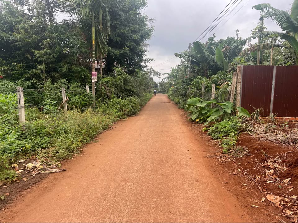 Đất mặt tiền đường D3 Tân An Buôn Ma Thuột 233m² giá 1.55 tỷ - Đầu tư sinh lời ngay!