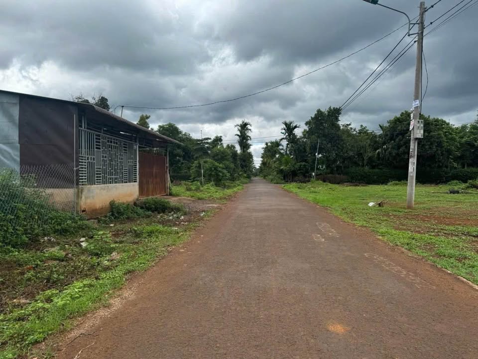 Đất nền mặt tiền D4 Tân An 280m² giá 1.99 tỷ - Tiềm năng phát triển cao!