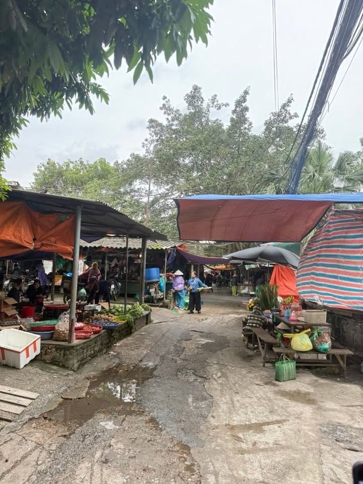 Nhà cấp 4 Ngũ Hiệp 38m² giá 1 tỷ - Sổ đỏ chính chủ, ô tô đỗ gần!