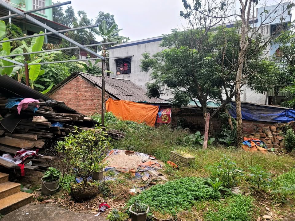 Đất nền Tân Giang Cao Bằng 96.5m² giá 900 triệu - Cơ hội đầu tư lý tưởng!