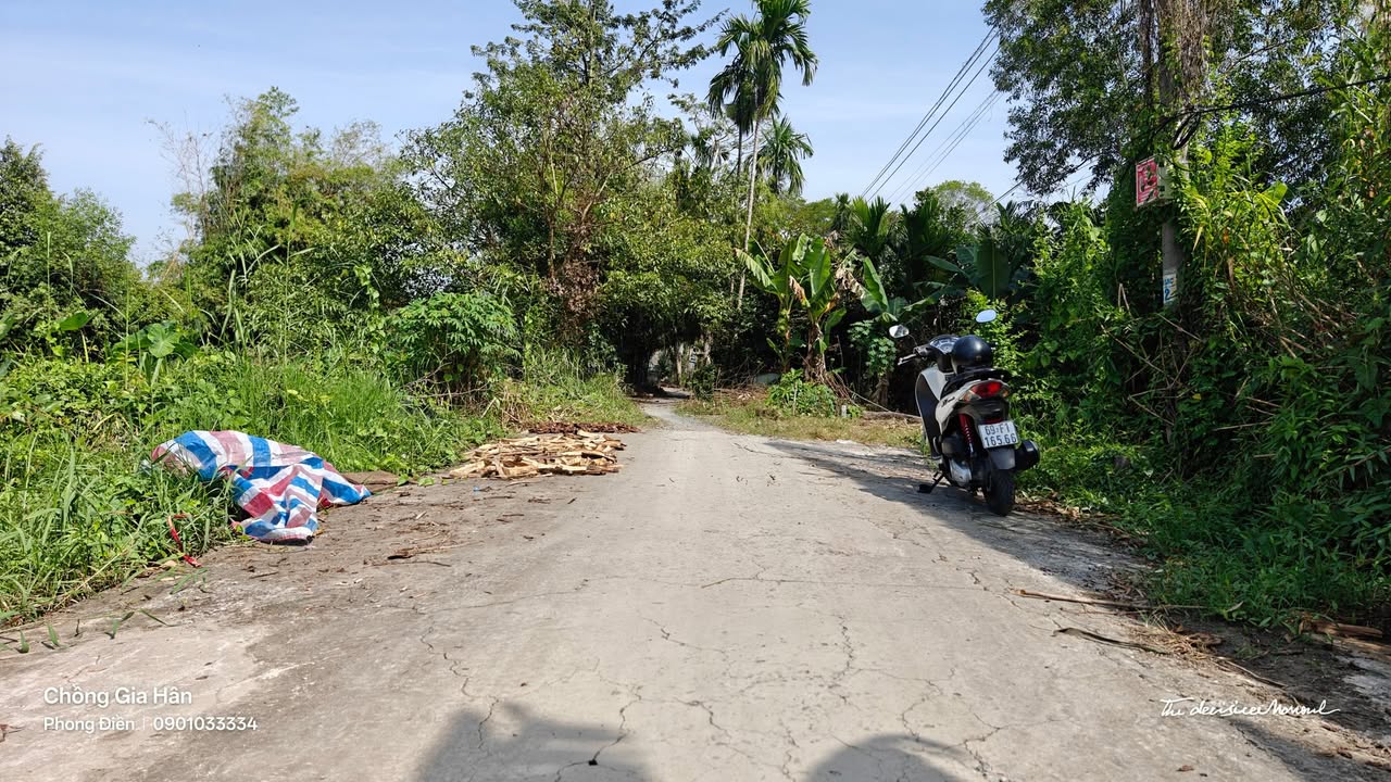 Đất nền Trường Long, Phong Điền, Cần Thơ 179m² giá 350 triệu - Hậu nở đẹp và gần chợ